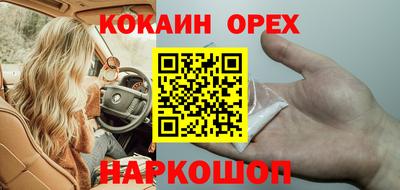 стаф Заводоуковск